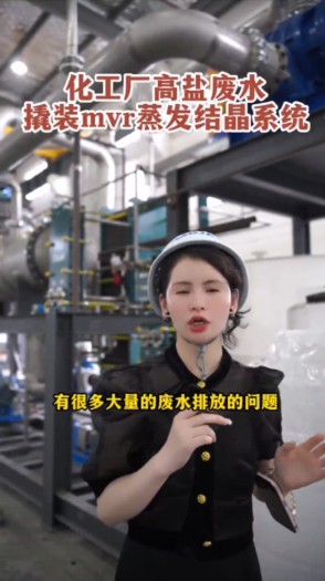 化工厂高盐废水撬装MVR蒸发结晶系统