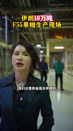 伊朗10万吨F55果糖生产现场