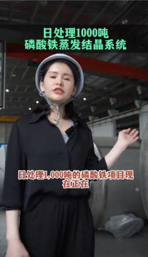 磷酸铁蒸发结晶系统