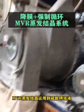 降膜+强制循环MVR蒸发结晶系统