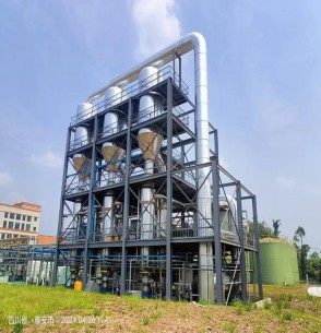 四川某新能源锂电公司硫酸锂蒸发结晶项目