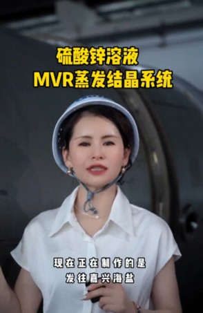 硫酸锌溶液MVR蒸发结晶系统