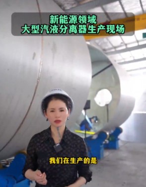 新能源领域大型气液分离器