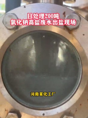 氯化钠高盐废水MVR强制循环蒸发结晶