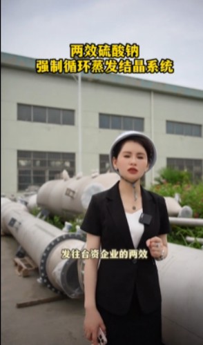 两效硫酸钠强制循环蒸发结晶系统